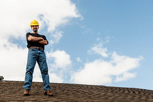Best Roof Gutter Cleaning  in Shenandoah Heights, PA