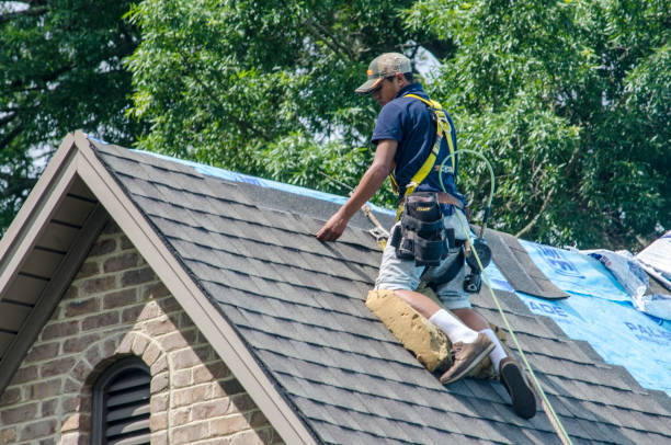 Roof Gutter Cleaning in Shenandoah Heights, PA
